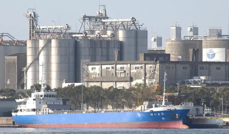 HARIMA 21 General Cargo IMO 9153989 photo 2