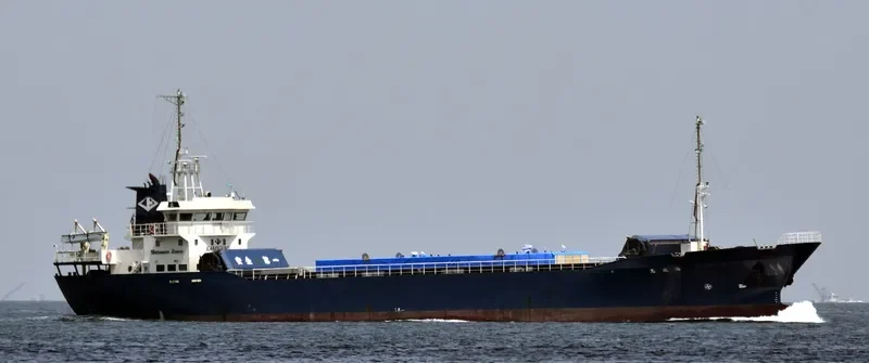 RICH SAILING General Cargo IMO 9153991