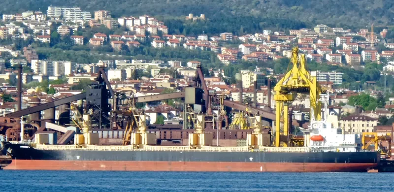 CHARIANA L Bulk Carrier IMO 9154012 photo 2