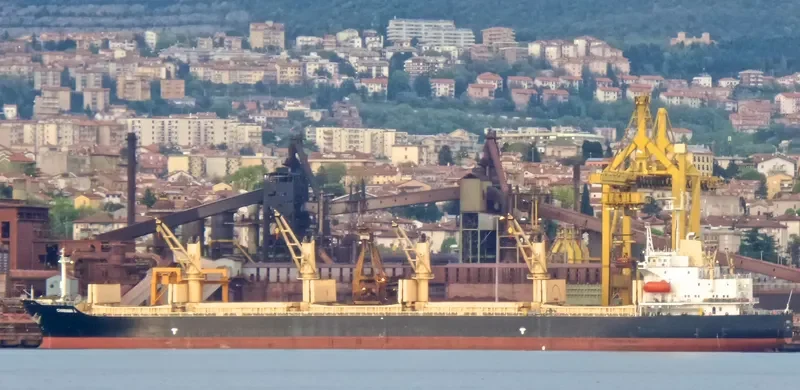 CHARIANA L Bulk Carrier IMO 9154012 photo 3