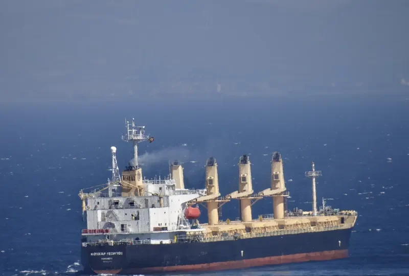 CHARIANA L Bulk Carrier IMO 9154012 photo 10