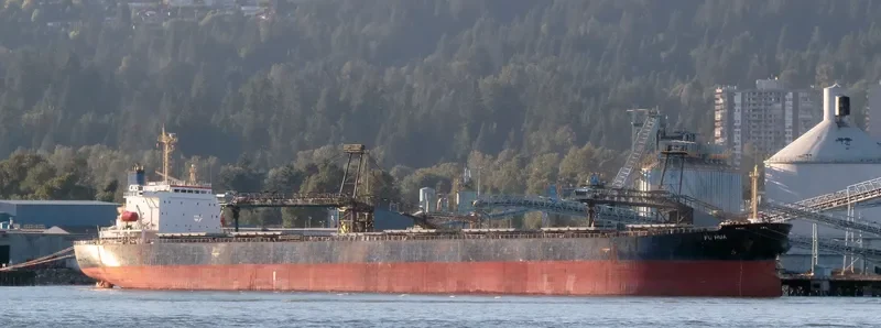 FU HUA Bulk Carrier IMO 9154103 photo 7