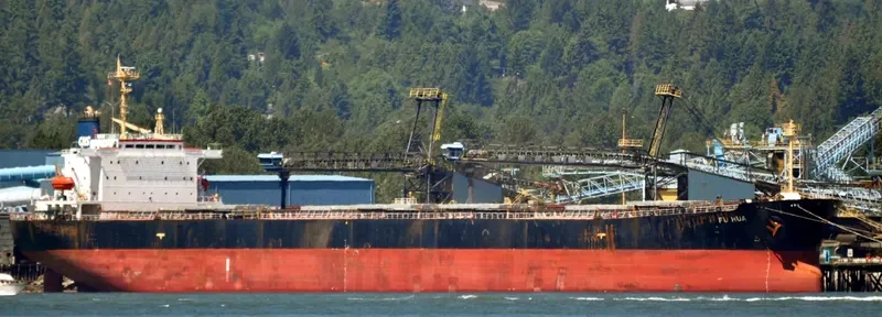 FU HUA Bulk Carrier IMO 9154103 photo 8