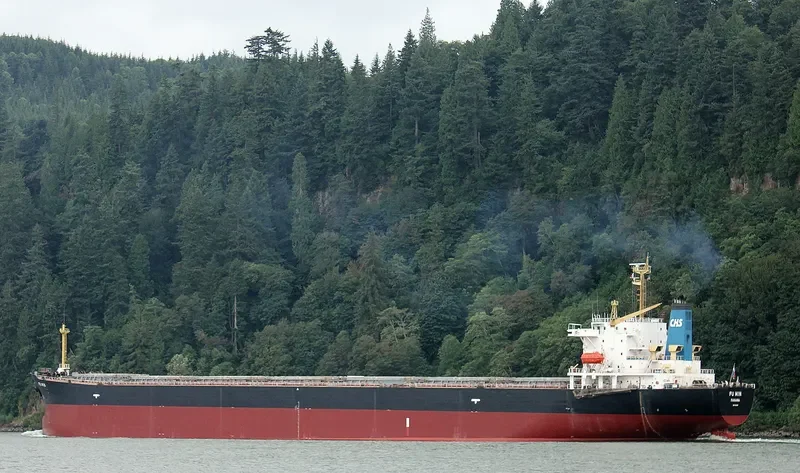 FU MIN Bulk Carrier IMO 9154115 photo 3
