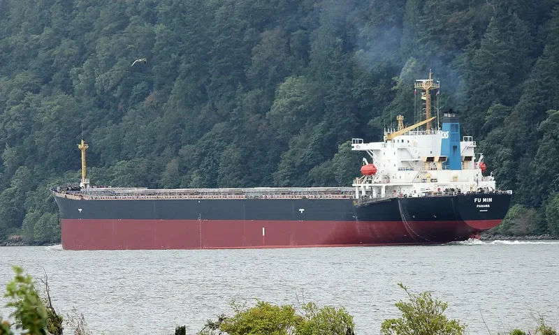 FU MIN Bulk Carrier IMO 9154115 photo 4