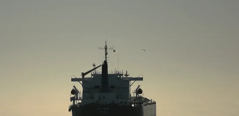 FU MIN Bulk Carrier IMO 9154115 photo 5