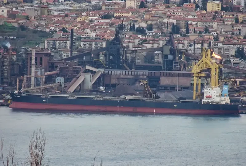 FU KANG Bulk Carrier IMO 9154127 photo 3