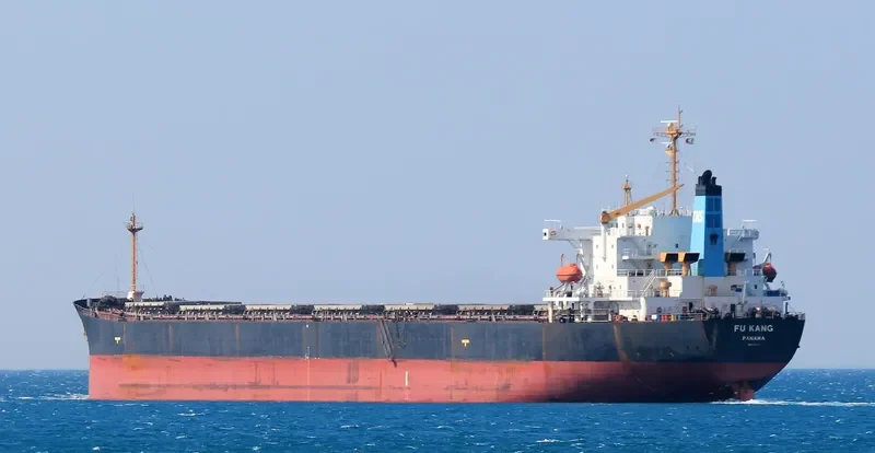 FU KANG Bulk Carrier IMO 9154127 photo 6