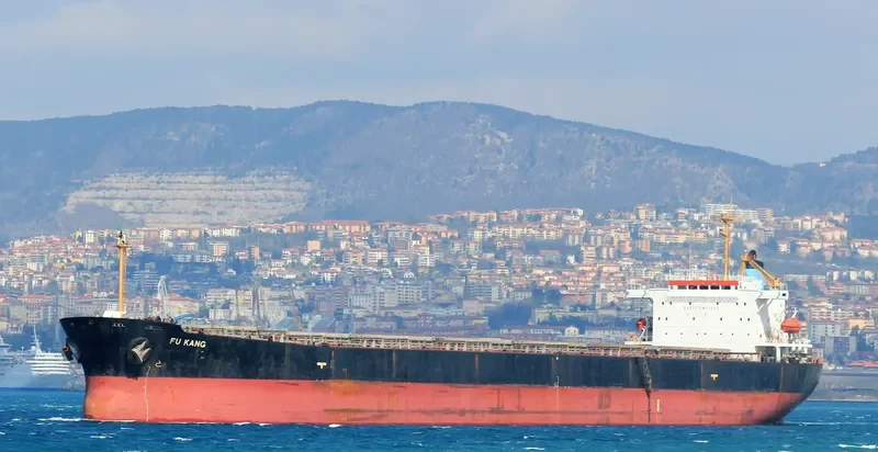 FU KANG Bulk Carrier IMO 9154127 photo 8