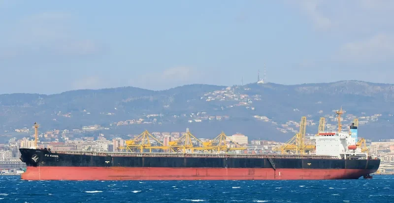 FU KANG Bulk Carrier IMO 9154127 photo 9