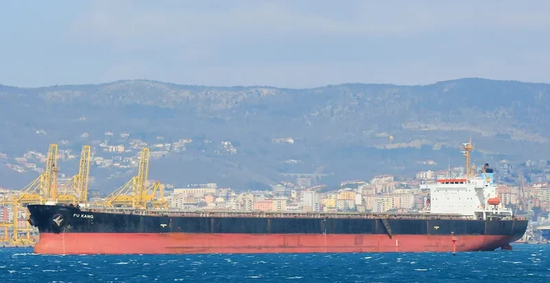 FU KANG Bulk Carrier IMO 9154127 photo 10
