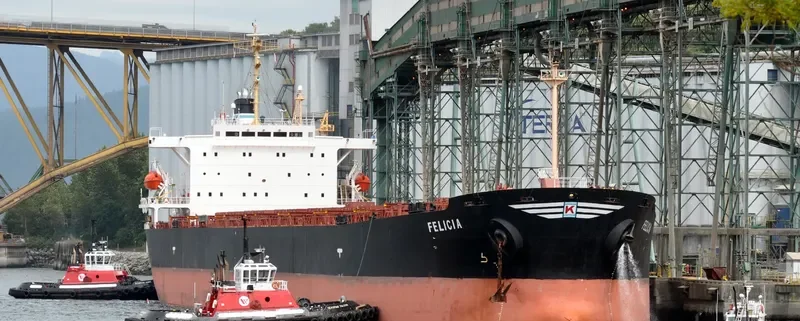 FELICIA Bulk Carrier IMO 9154139 photo 5