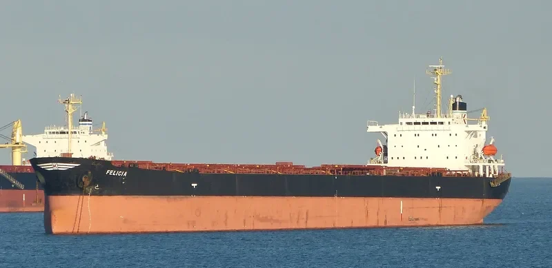 FELICIA Bulk Carrier IMO 9154139 photo 8