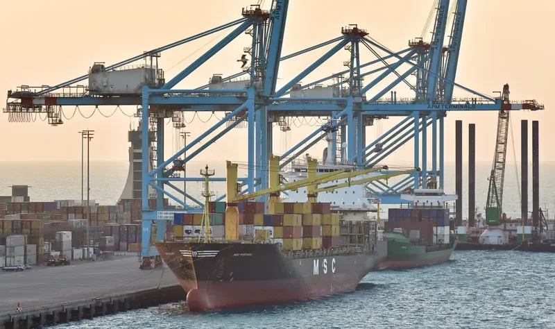 MSC POSITANO Container Ship IMO 9154191