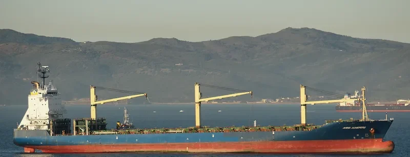 ANNA SCHEPERS Container Ship IMO 9154218 photo 10