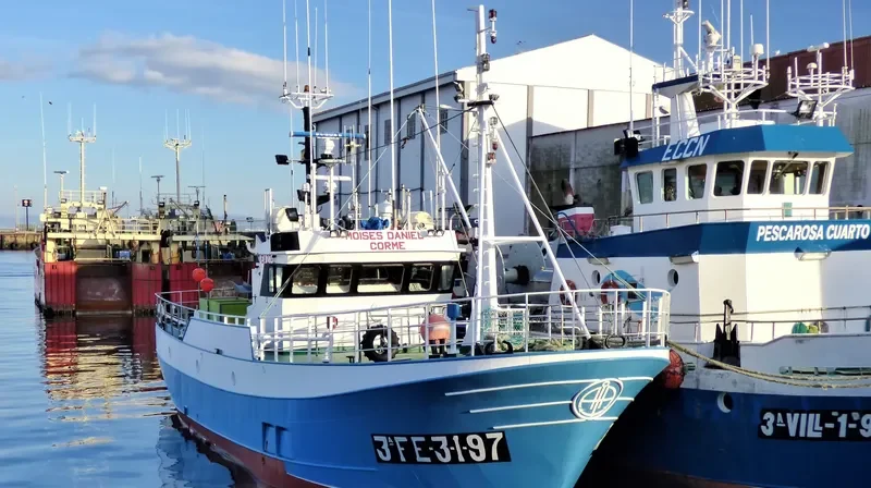 MOISES DANIEL General Cargo IMO 9154335 photo 6