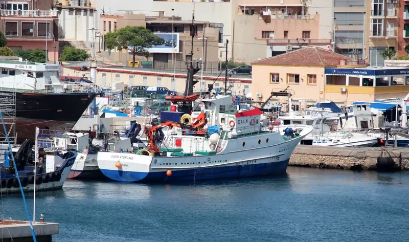 VIVER ATUN UNO General Cargo IMO 9154402 photo 3