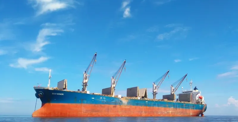 BEST HONOR Bulk Carrier IMO 9154567 photo 5