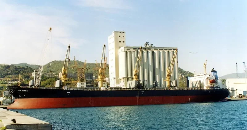 JIN QIANG Bulk Carrier IMO 9154579 photo 4