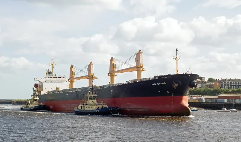 JIN QIANG Bulk Carrier IMO 9154579 photo 7