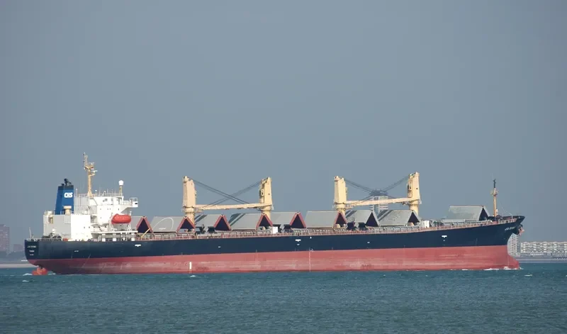 JIA QIANG Bulk Carrier IMO 9154593 photo 6