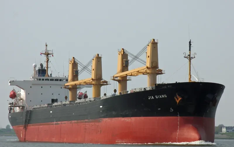 JIA QIANG Bulk Carrier IMO 9154593 photo 7