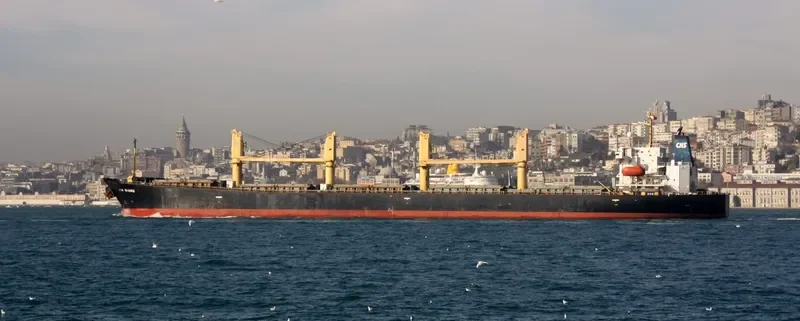 JIA QIANG Bulk Carrier IMO 9154593 photo 9