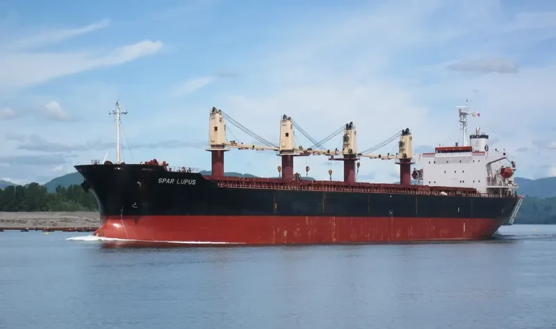 KT 05 Bulk Carrier IMO 9154610 photo 6