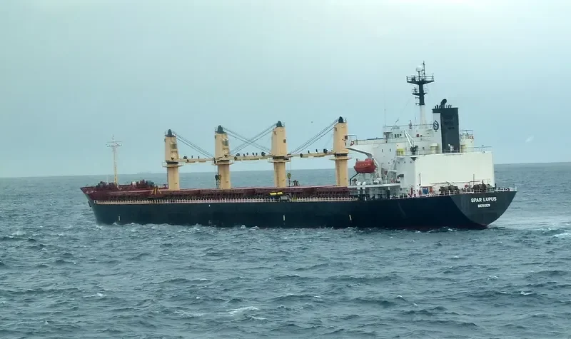 KT 05 Bulk Carrier IMO 9154610 photo 7