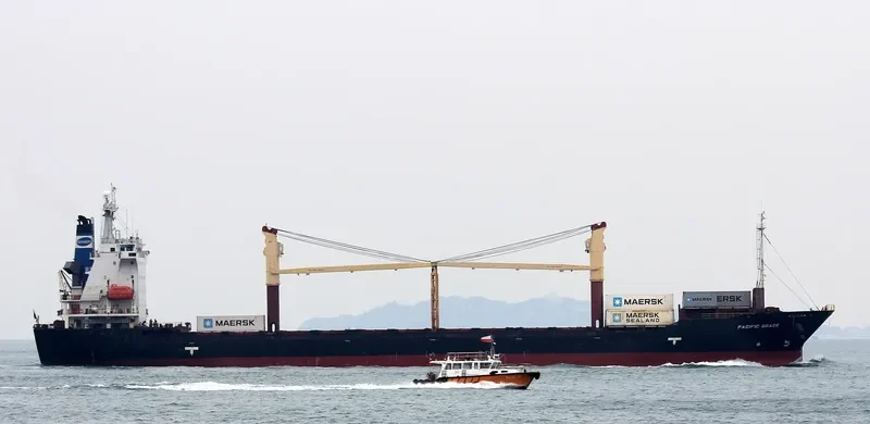 PACIFIC GRACE Container Ship IMO 9154828