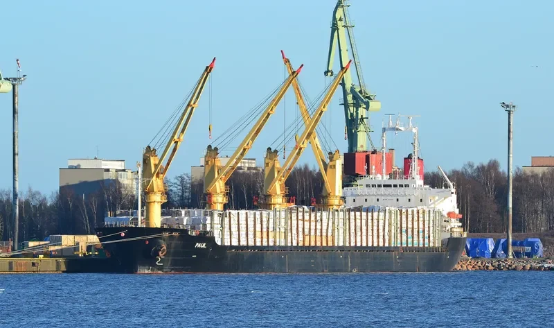 BEST WILL Bulk Carrier IMO 9154866