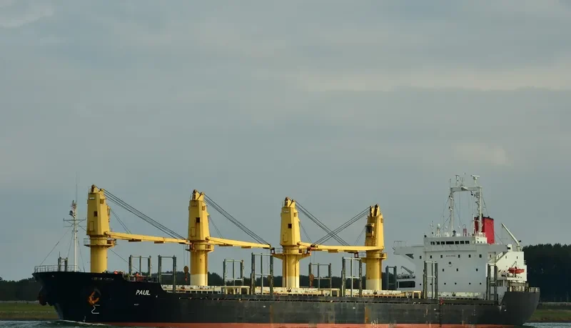 BEST WILL Bulk Carrier IMO 9154866 photo 4