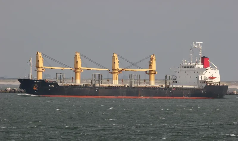 BEST WILL Bulk Carrier IMO 9154866 photo 7