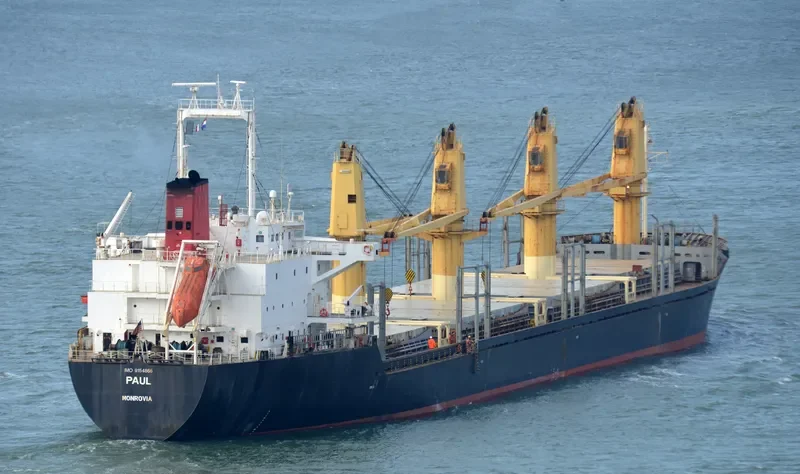 BEST WILL Bulk Carrier IMO 9154866 photo 8