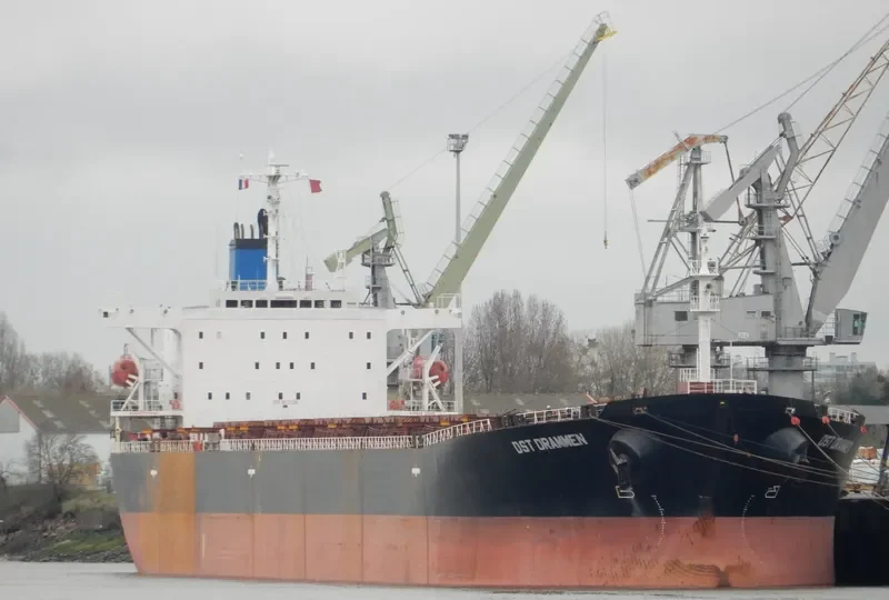 DST DRAMMEN Bulk Carrier IMO 9155004 photo 2