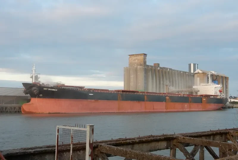 DST DRAMMEN Bulk Carrier IMO 9155004 photo 4