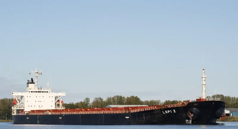 DST DRAMMEN Bulk Carrier IMO 9155004 photo 9