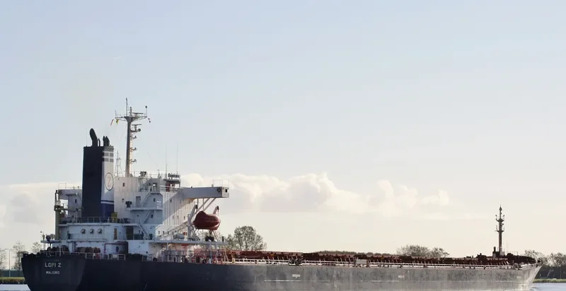 DST DRAMMEN Bulk Carrier IMO 9155004 photo 10
