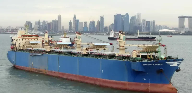 LARCH 1 Bulk Carrier IMO 9155080 photo 5
