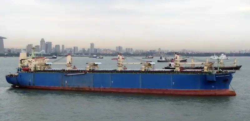 LARCH 1 Bulk Carrier IMO 9155080 photo 6