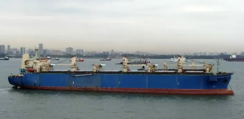 LARCH 1 Bulk Carrier IMO 9155080 photo 7