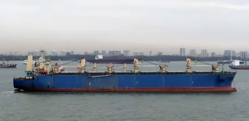 LARCH 1 Bulk Carrier IMO 9155080 photo 8