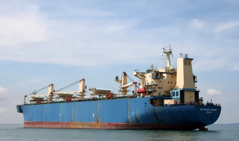 LARCH 1 Bulk Carrier IMO 9155080 photo 10