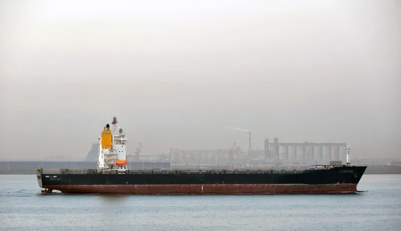 ZHONG WAI YUN XIN GANG Container Ship IMO 9155092 photo 8