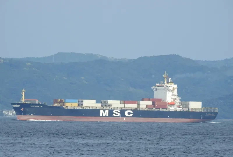MSC MARIA PIA Container Ship IMO 9155107