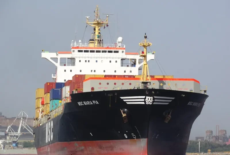 MSC MARIA PIA Container Ship IMO 9155107 photo 2