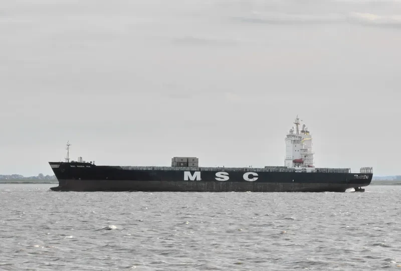MSC MARIA PIA Container Ship IMO 9155107 photo 3