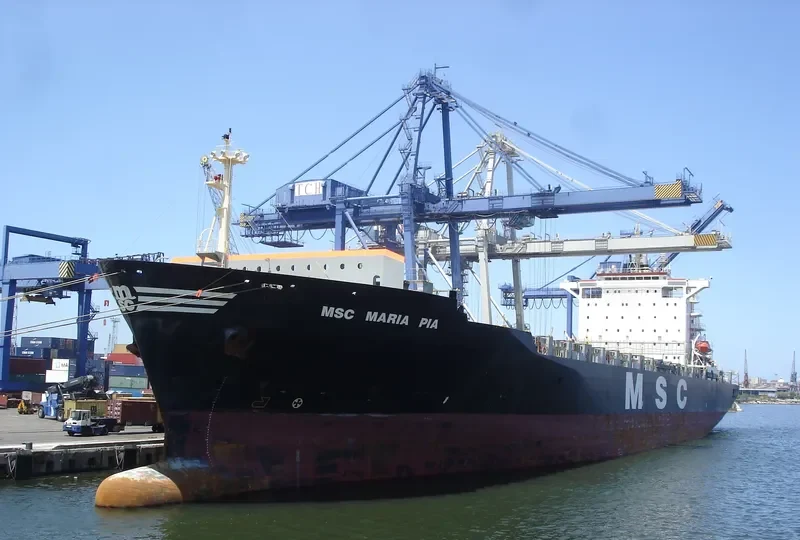 MSC MARIA PIA Container Ship IMO 9155107 photo 5