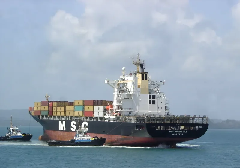 MSC MARIA PIA Container Ship IMO 9155107 photo 6