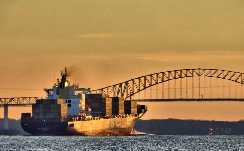 MSC MARIA PIA Container Ship IMO 9155107 photo 7